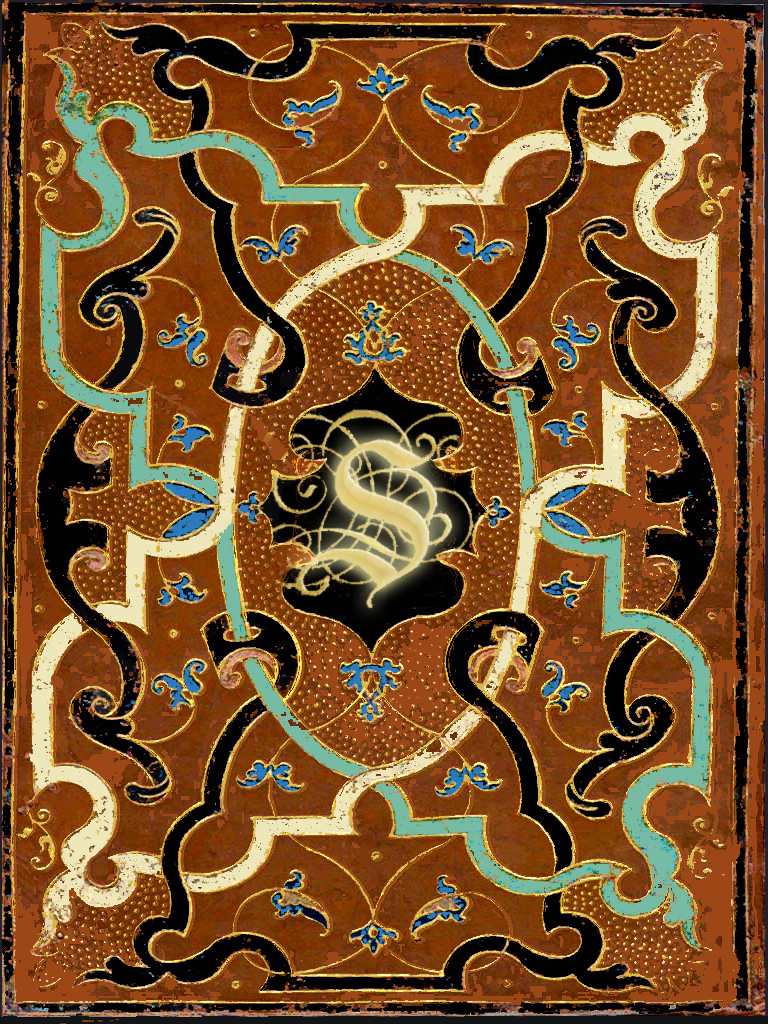 Illuminated S on a weathered ornamental cover.